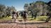 equestrian_tours_andalusia_pureandalusia