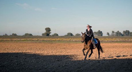 riding_stables_seville_pureandalusia