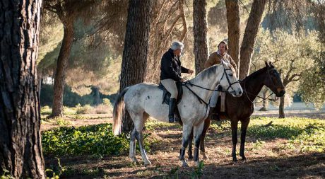 private_horse_riding_andalusia_pure_andalusia