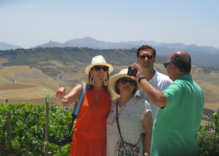 Andalusia wine tour